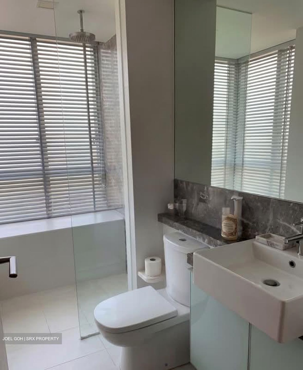 Oasis Garden (D19), Condominium #570093511